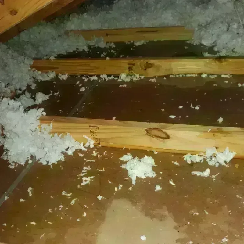 Attic Water Damage in Maury County, TN